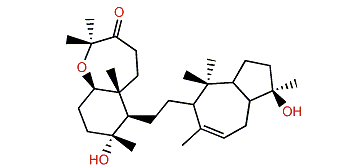 Sipholenone A